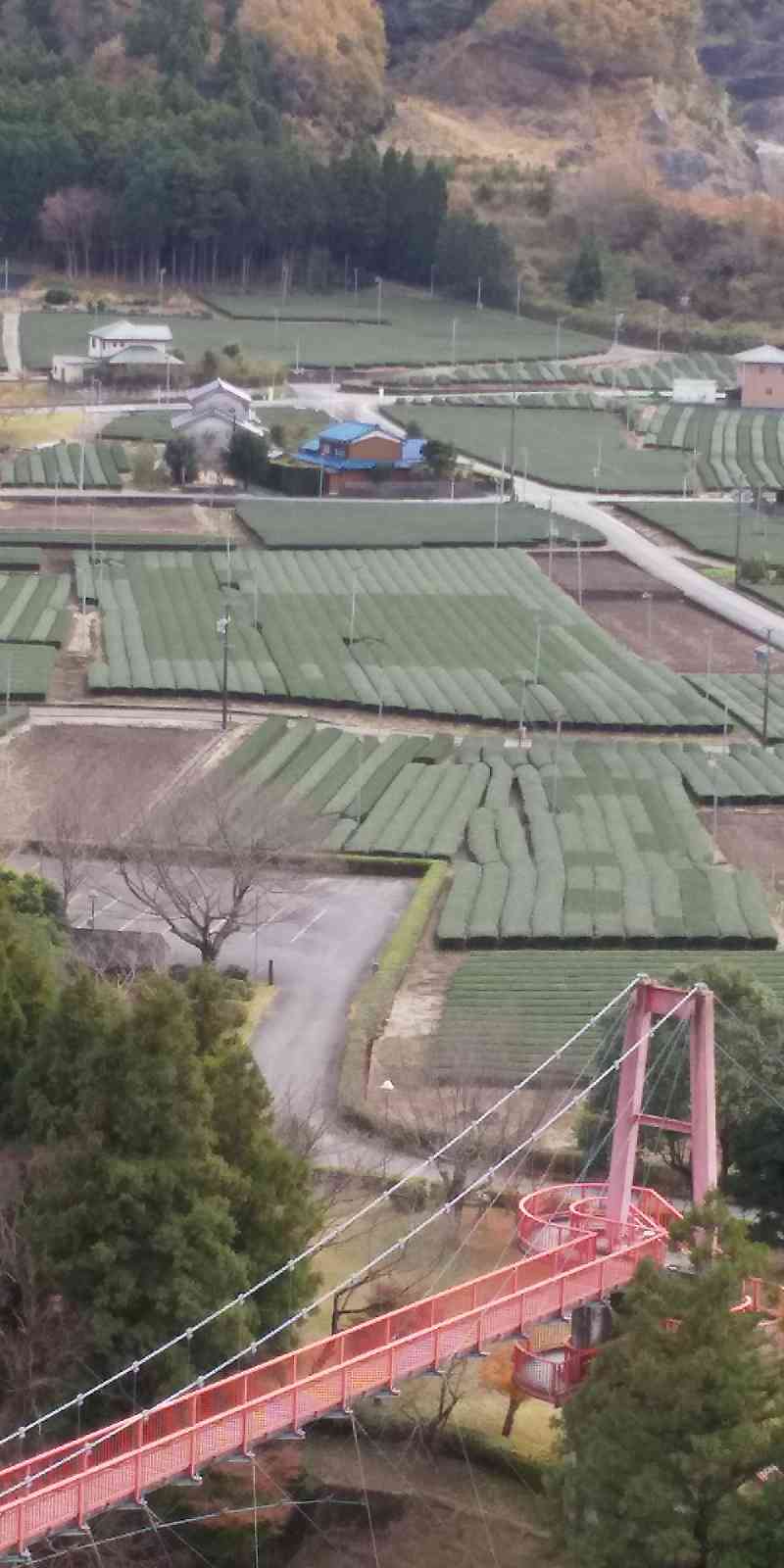 投稿された画像