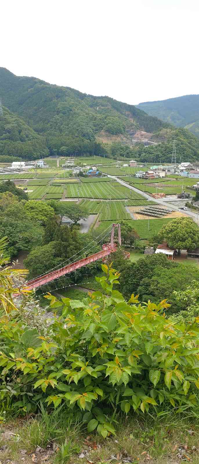 道の駅 茶倉駅の写真