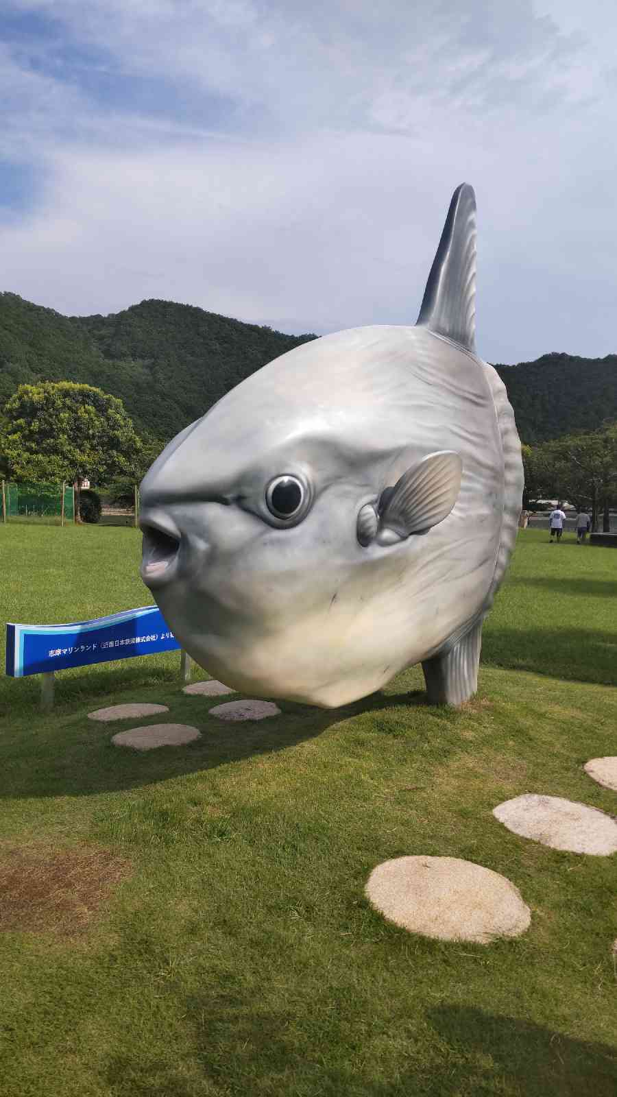 投稿された画像