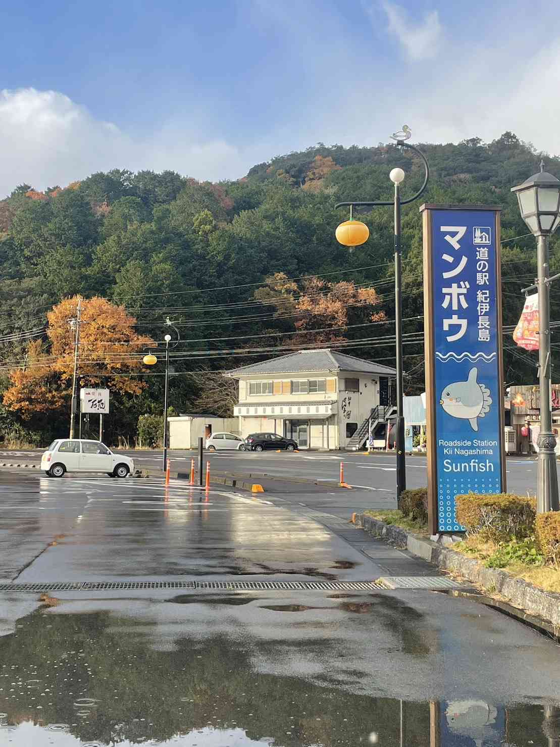 投稿された画像