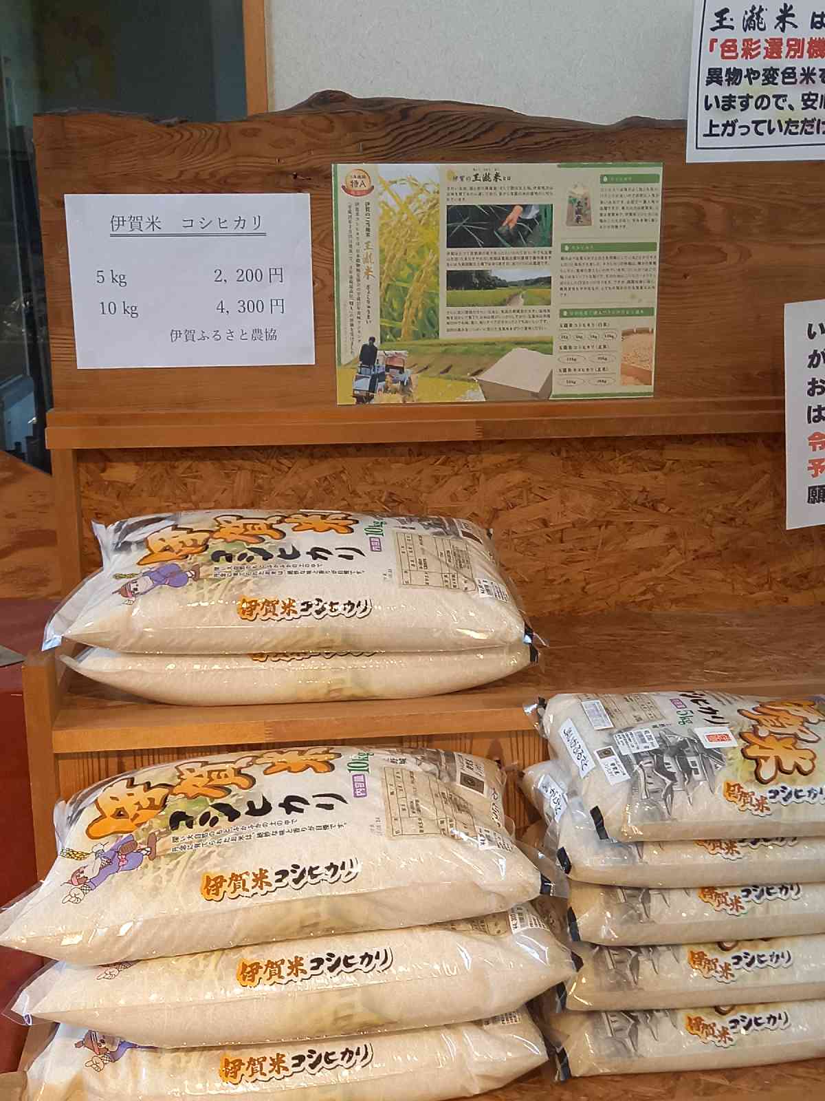 投稿された画像