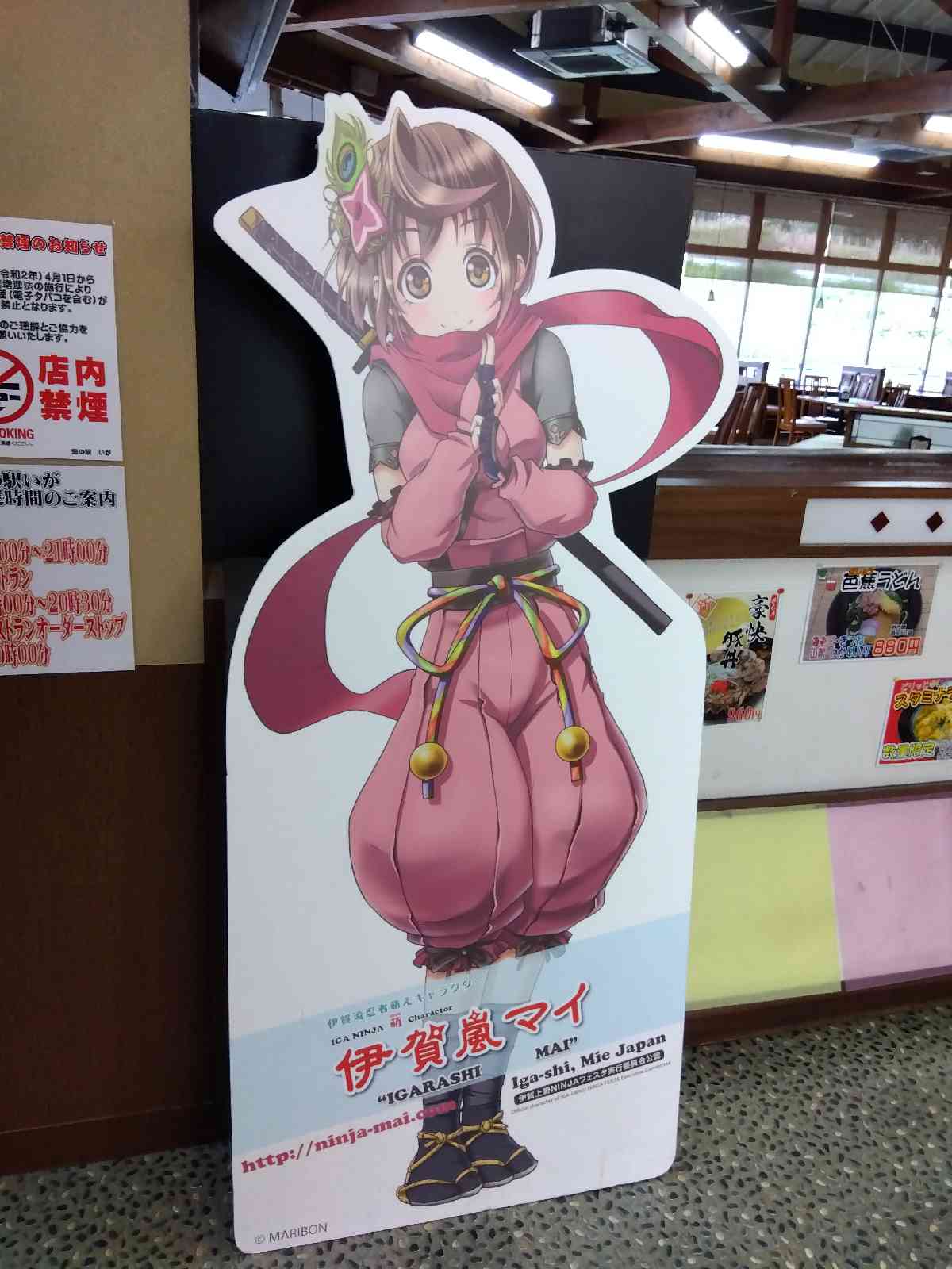 道の駅 いがの写真