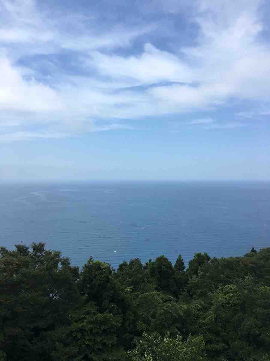 投稿された画像