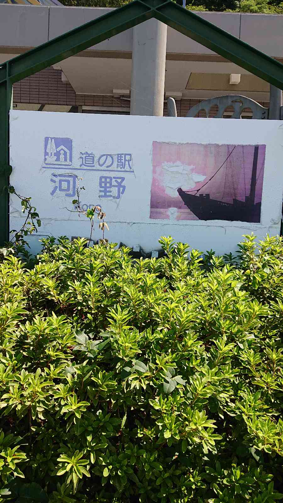 投稿された画像