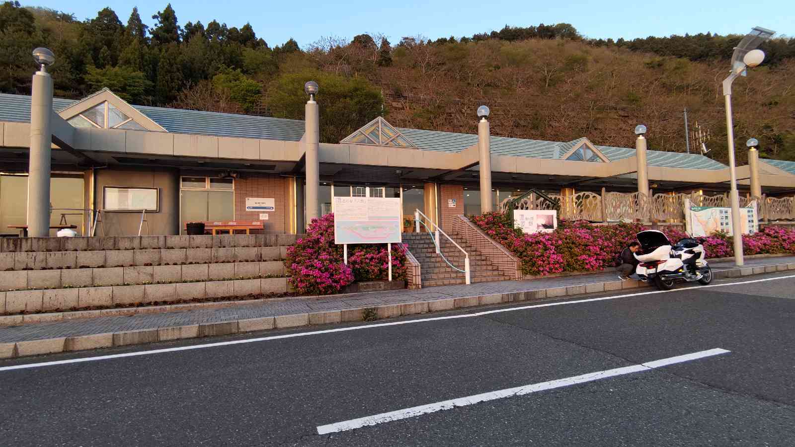 投稿された画像