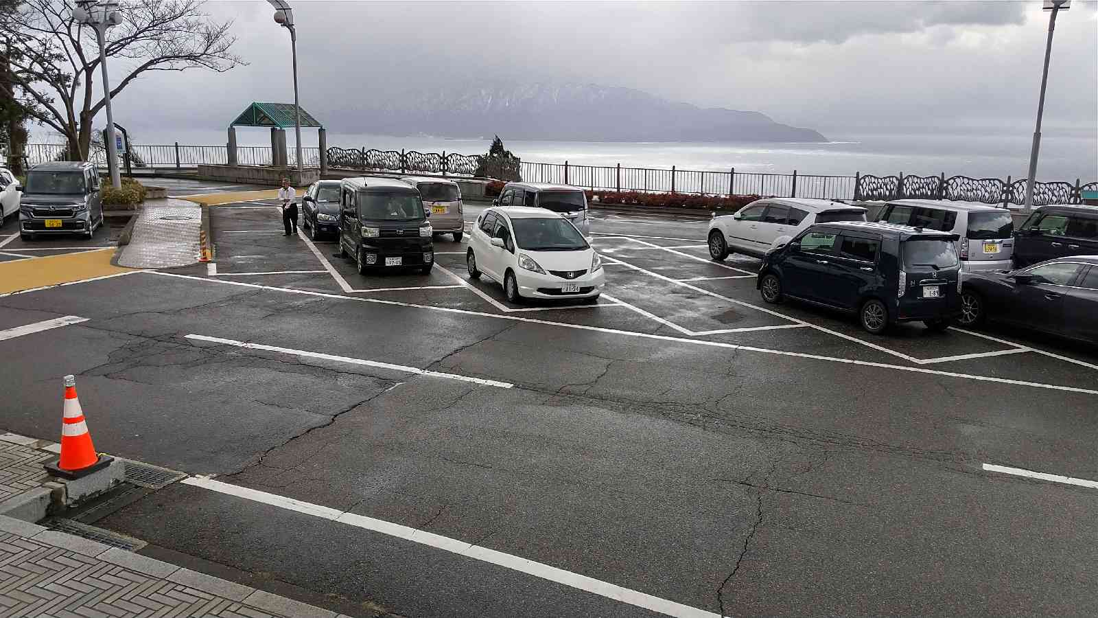 投稿された画像