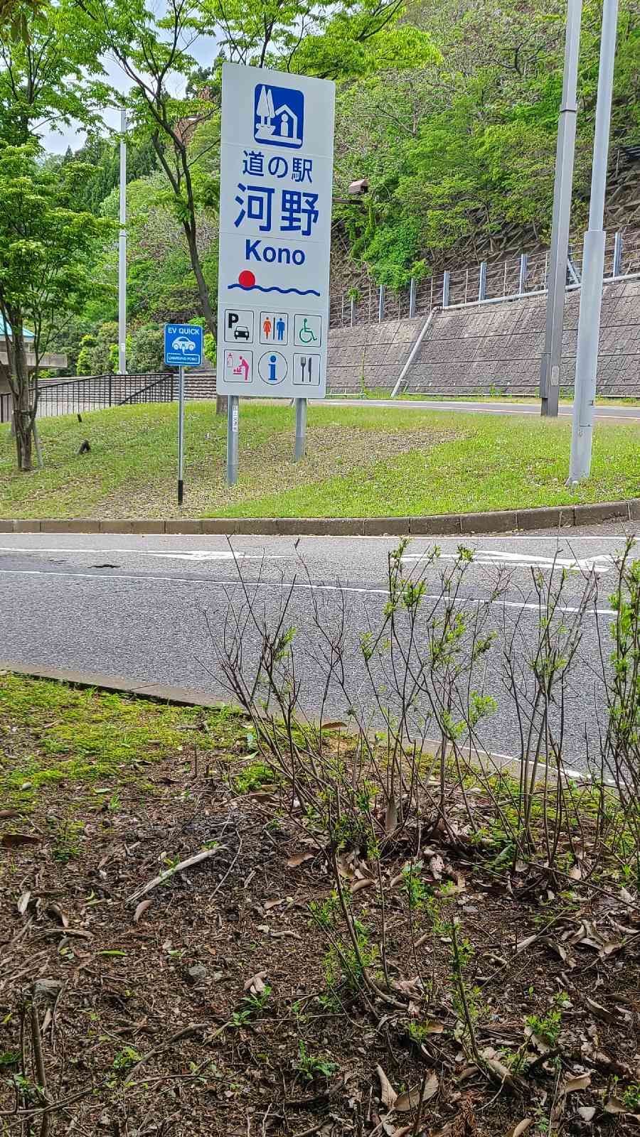 投稿された画像