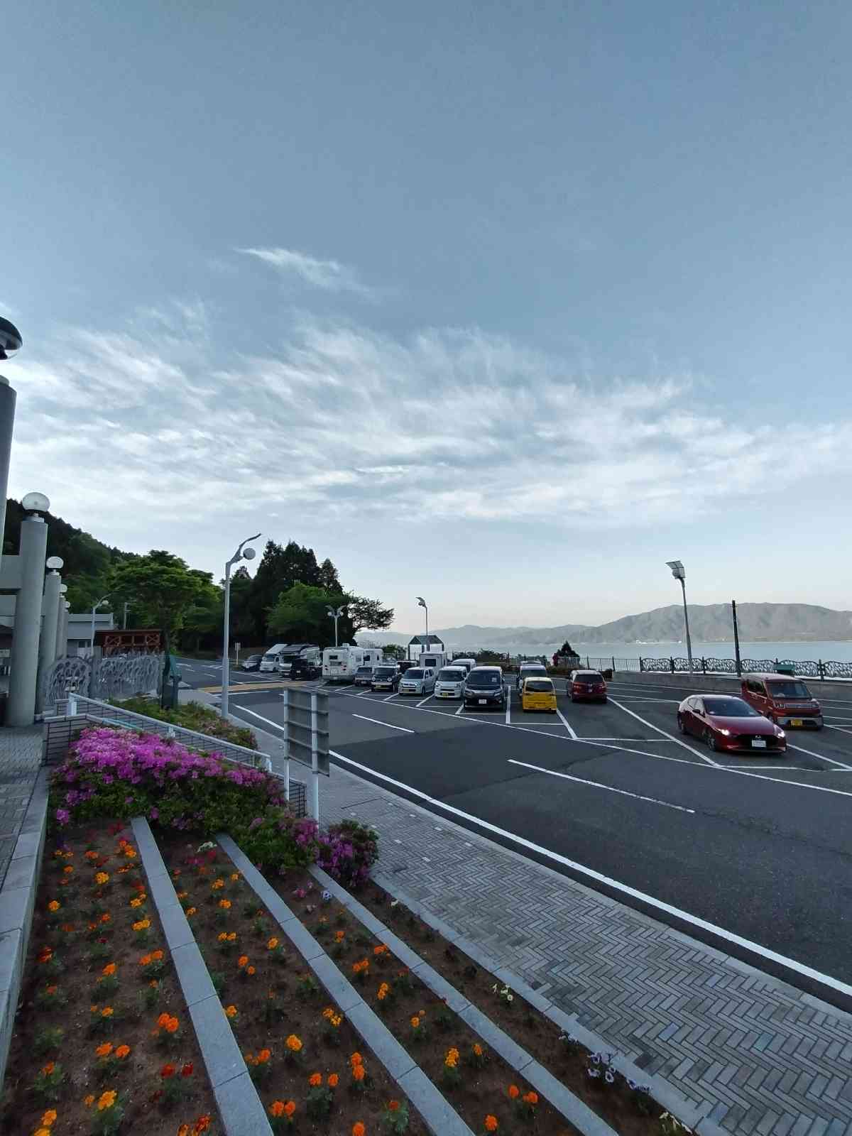 投稿された画像