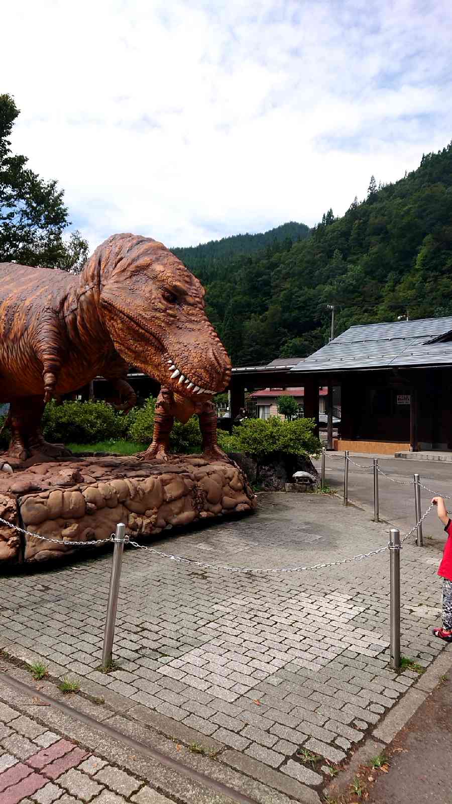 投稿された画像