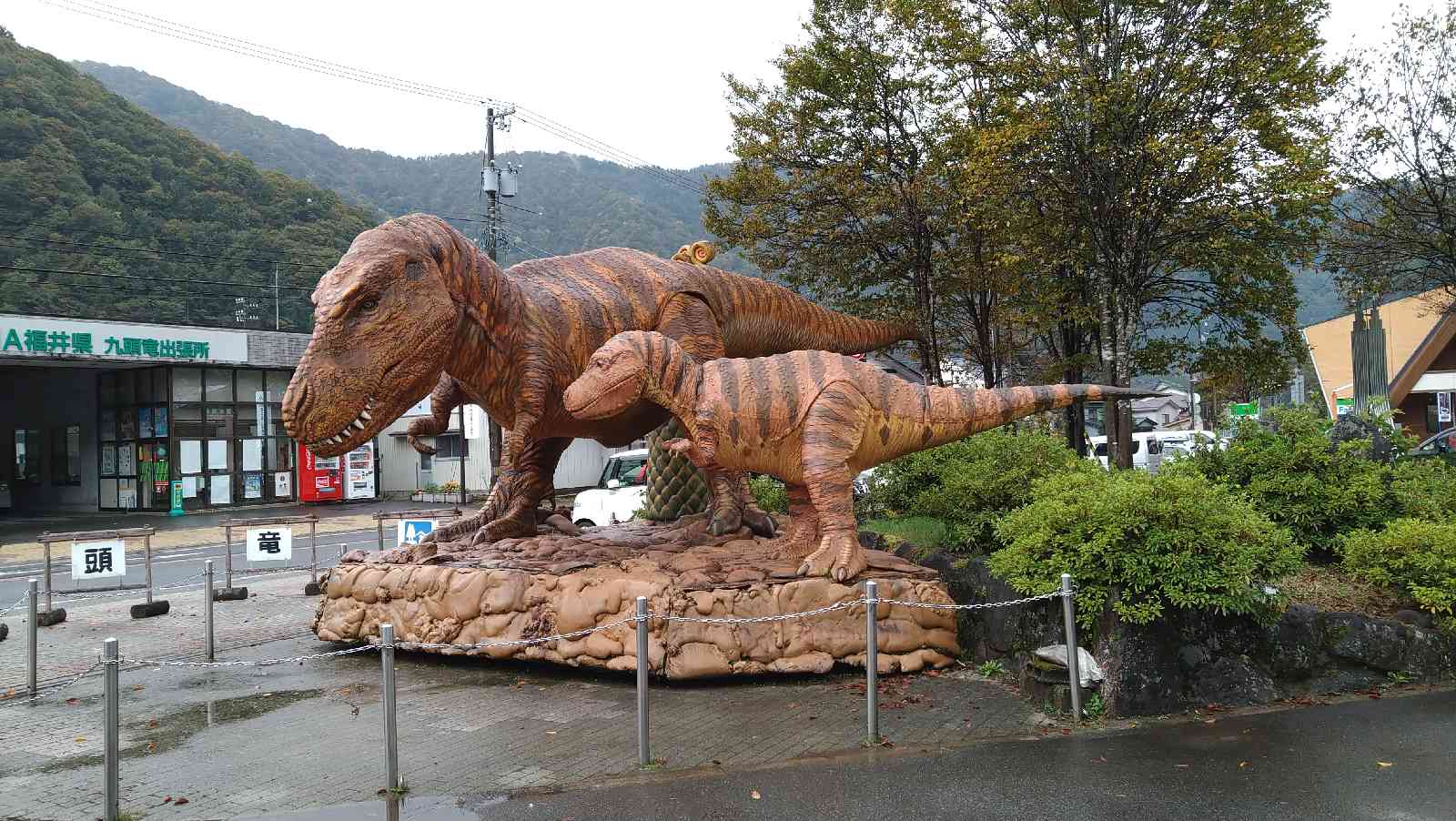 投稿された画像