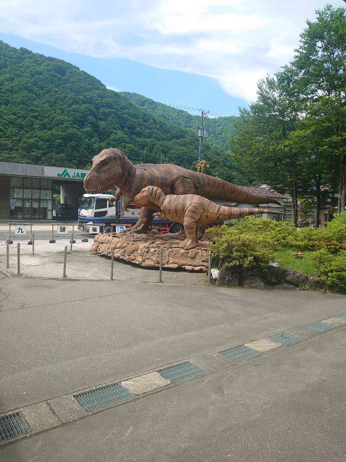 投稿された画像