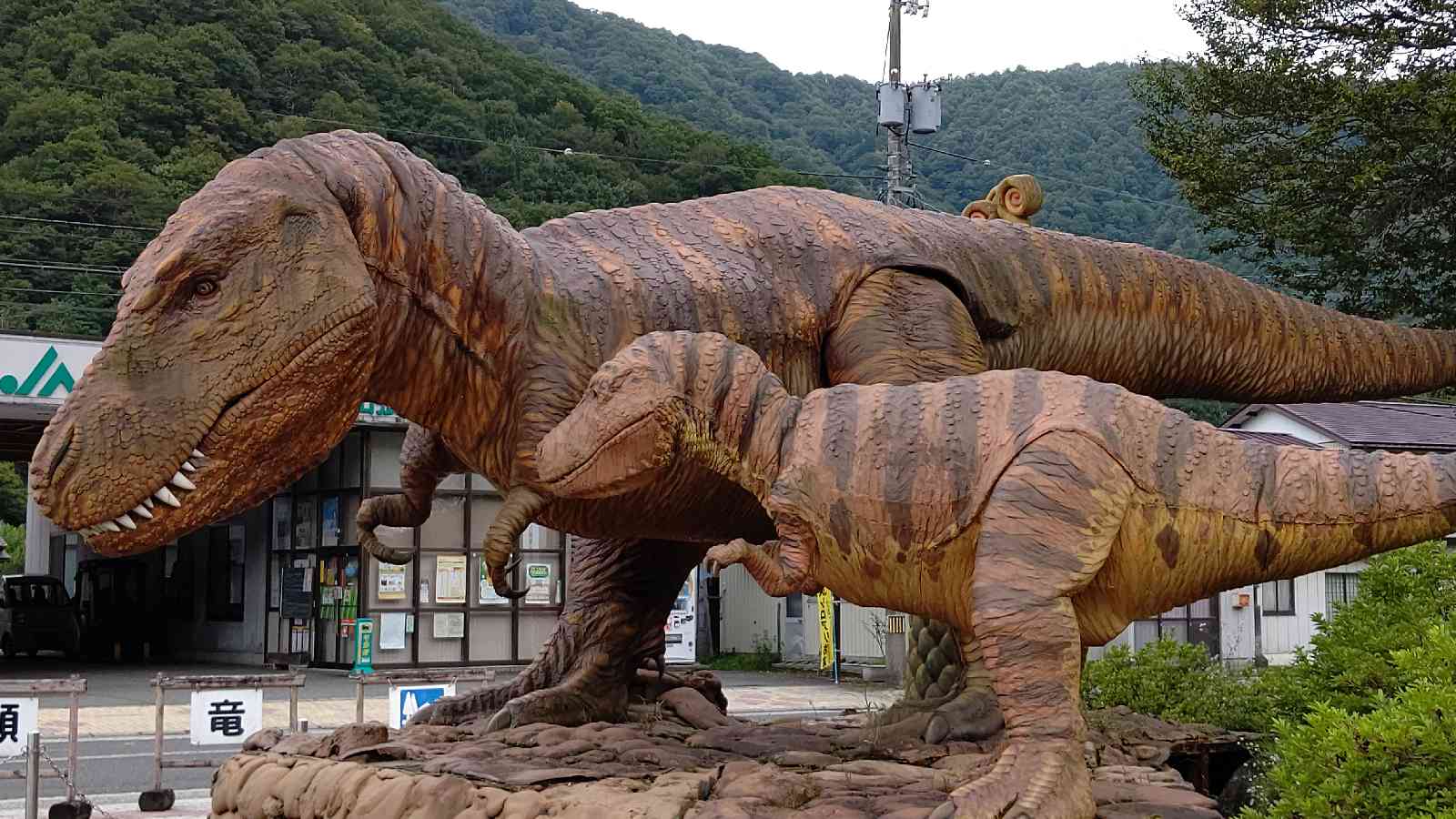 投稿された画像