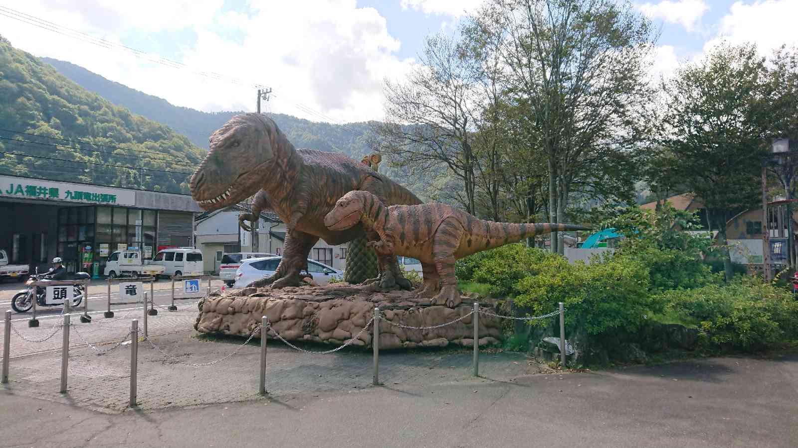 投稿された画像