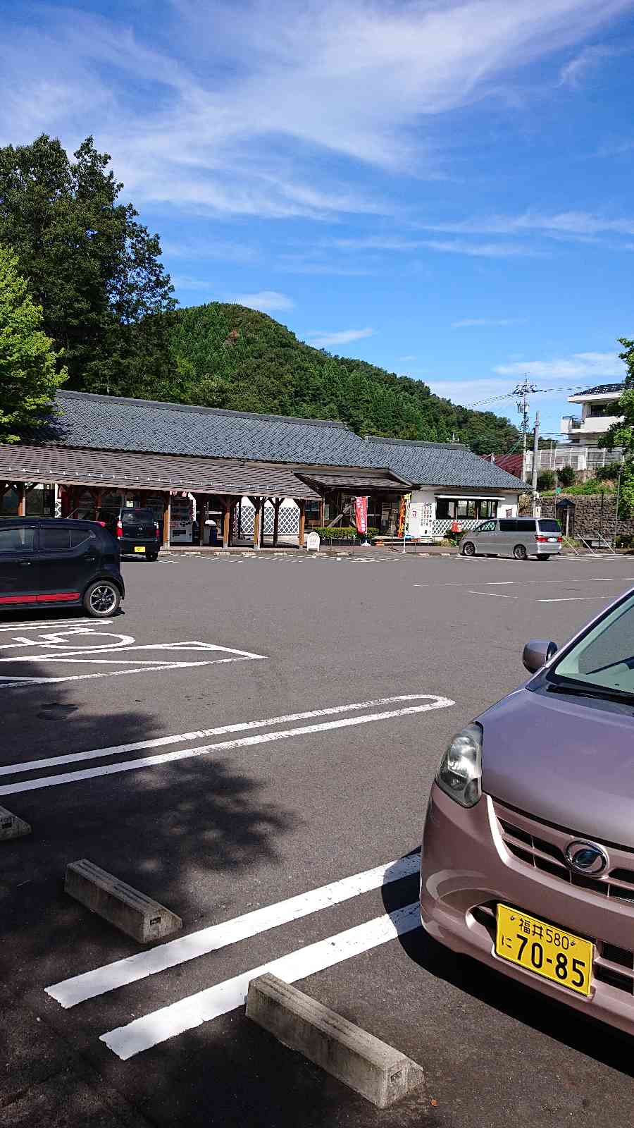 投稿された画像