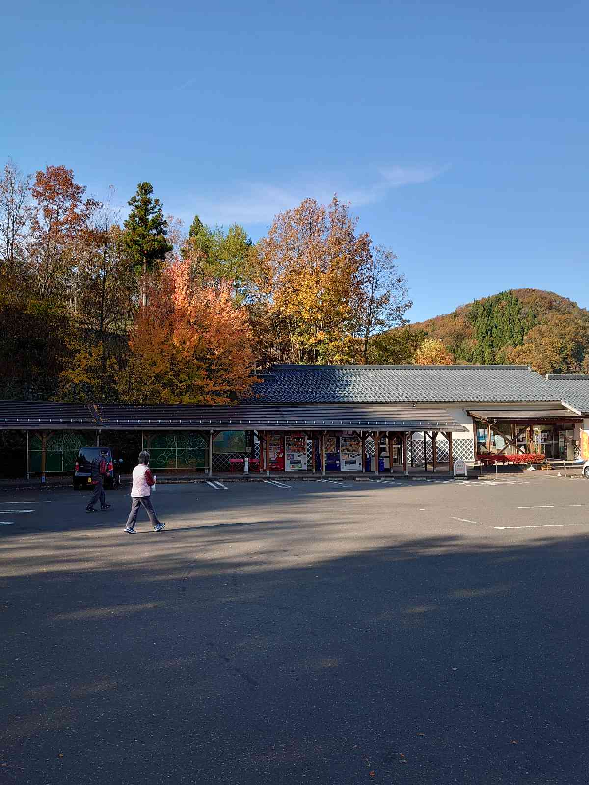 投稿された画像