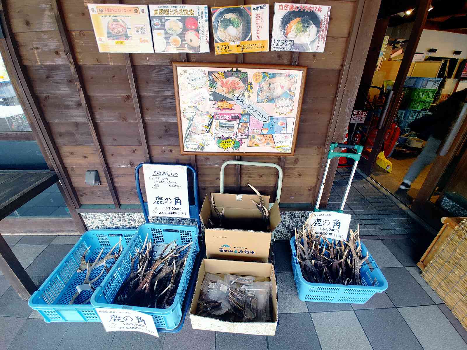 投稿された画像