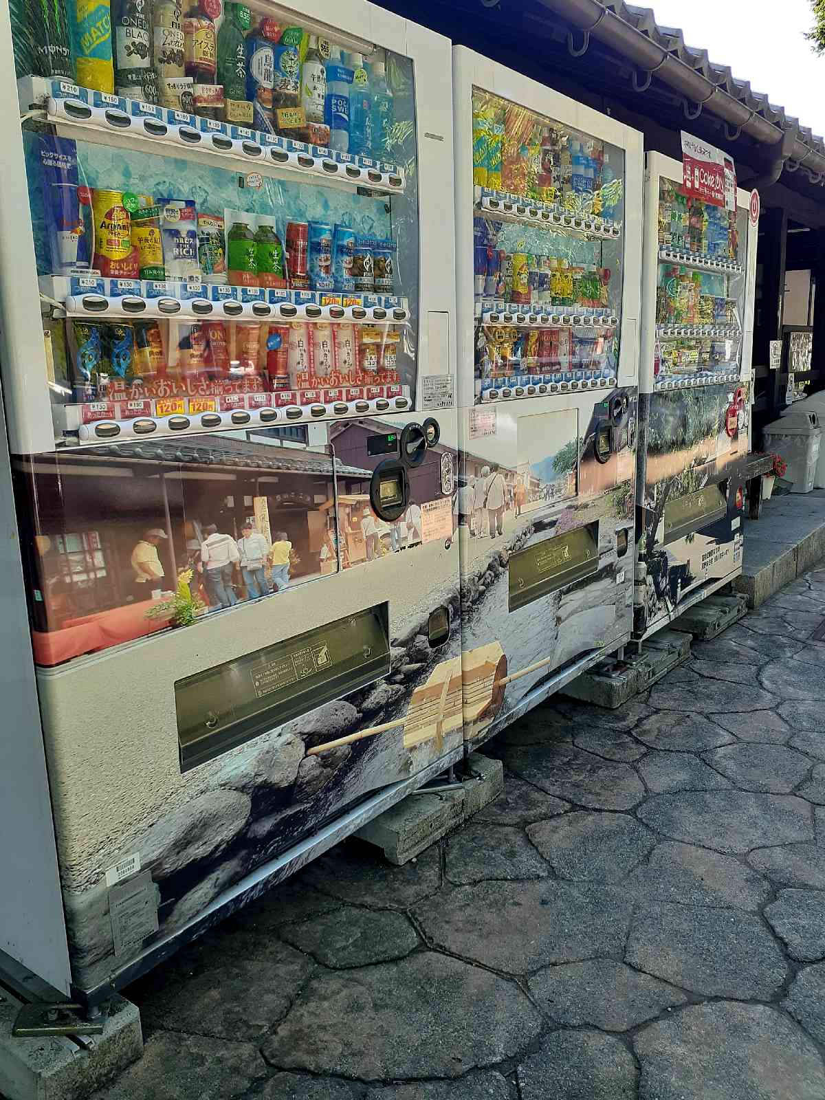 投稿された画像