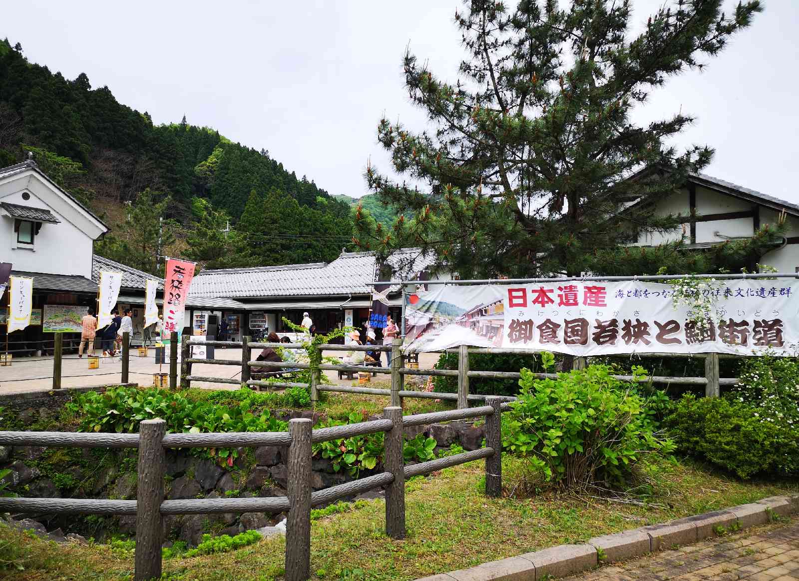 投稿された画像