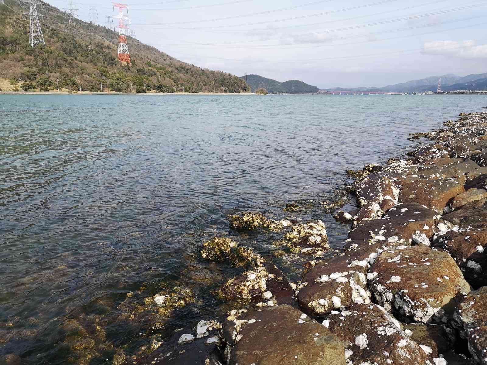 投稿された画像