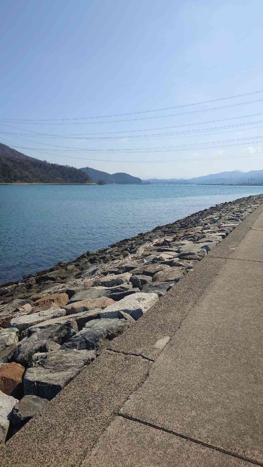 道の駅 シーサイド高浜の写真