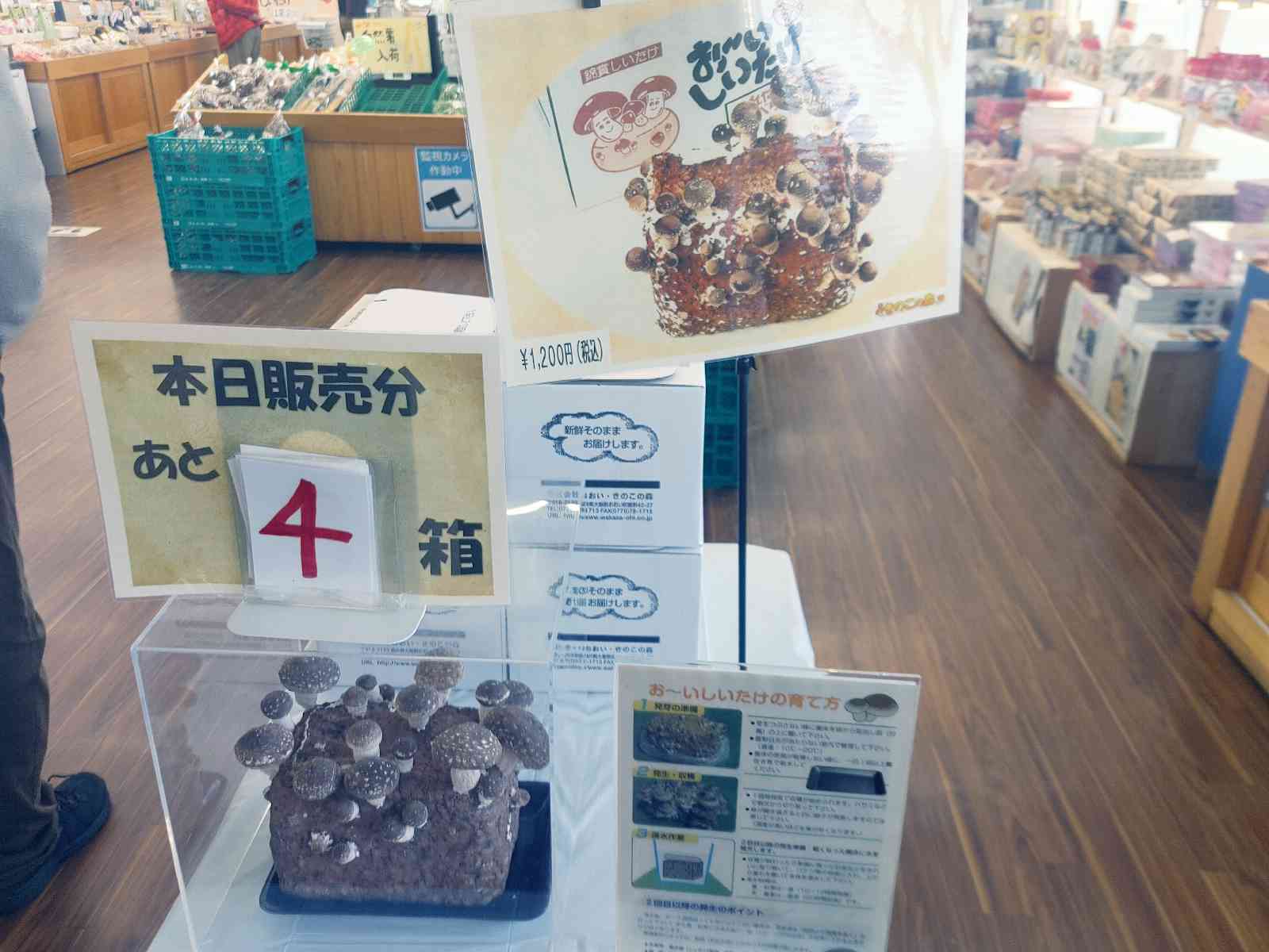 投稿された画像