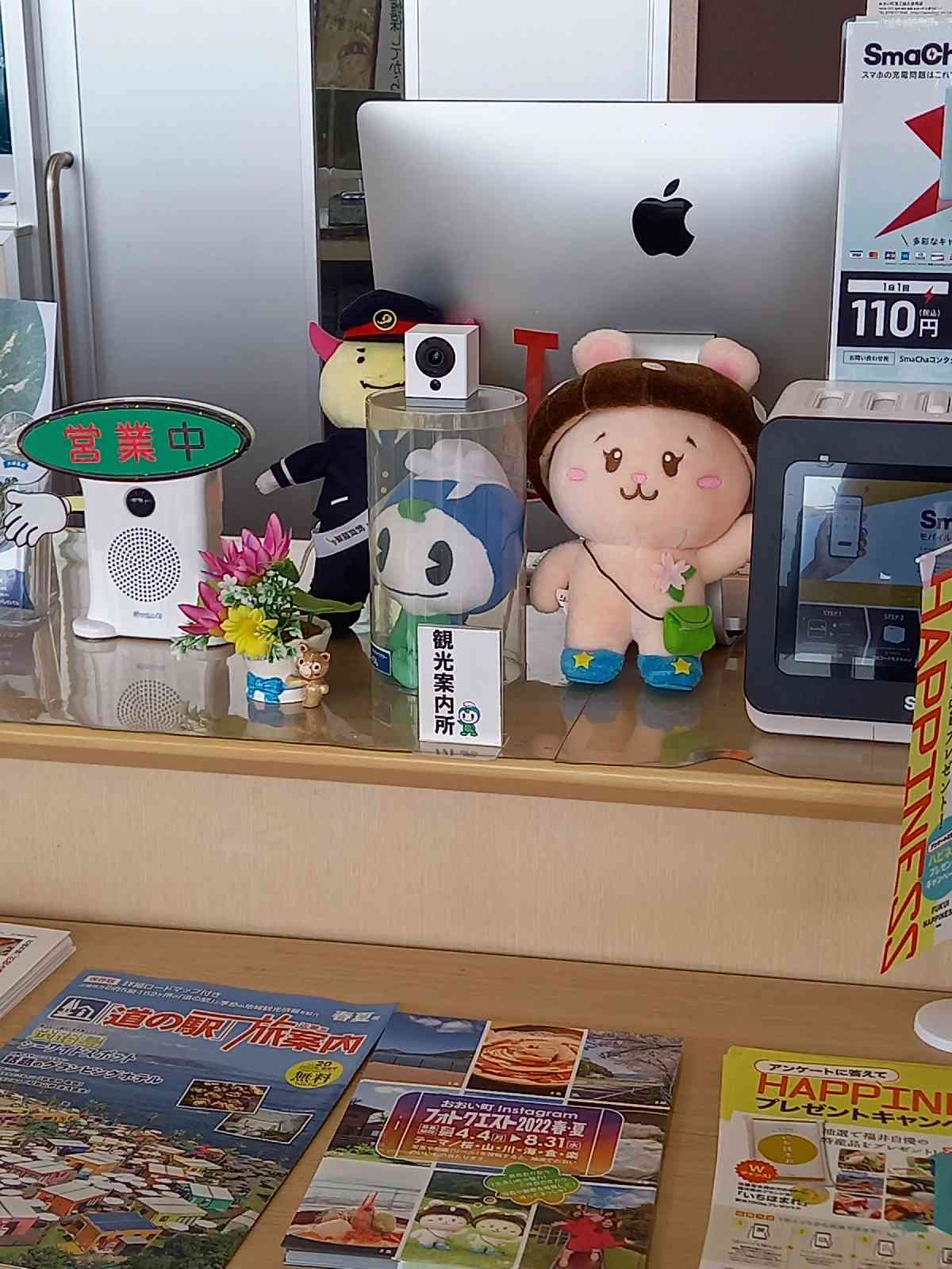 投稿された画像