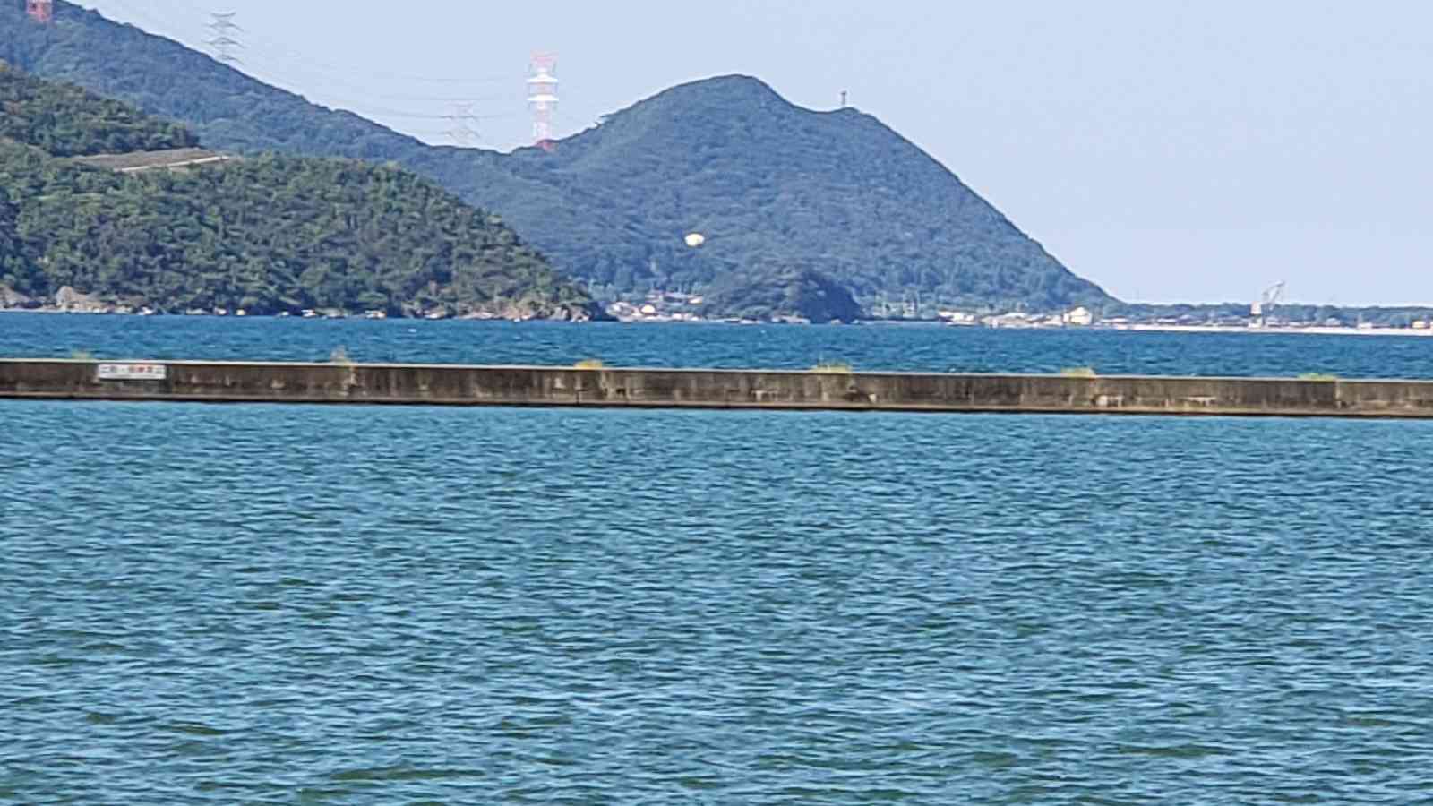 投稿された画像