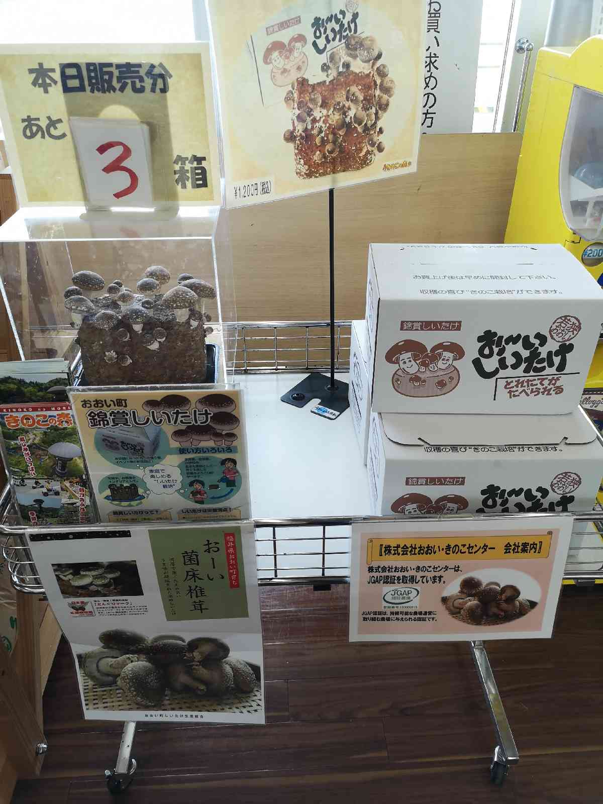投稿された画像