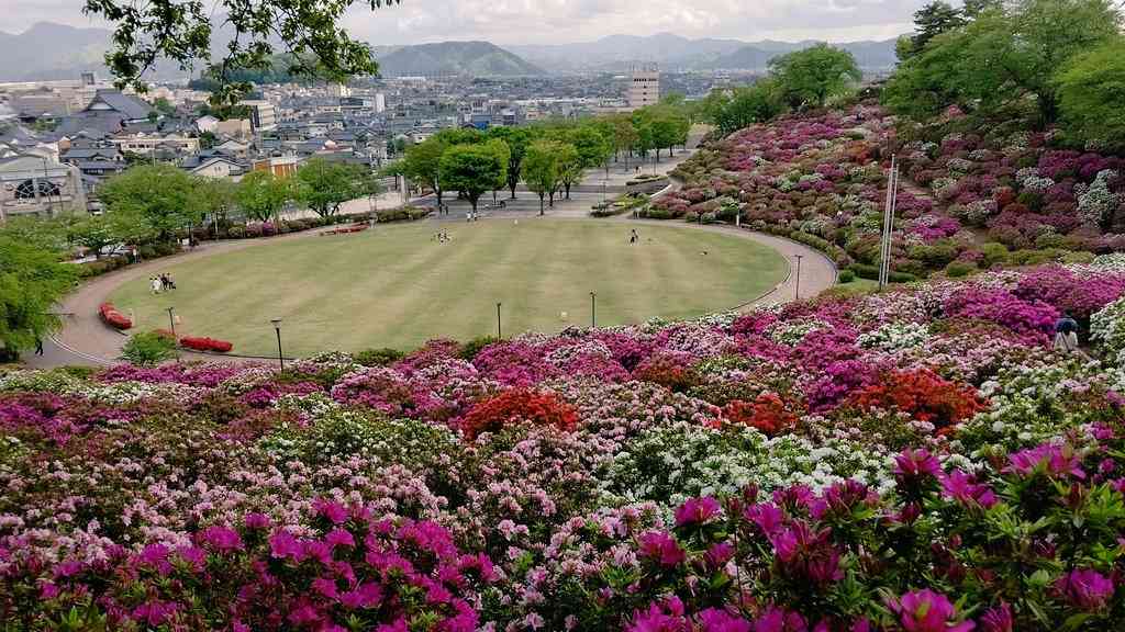 投稿された画像