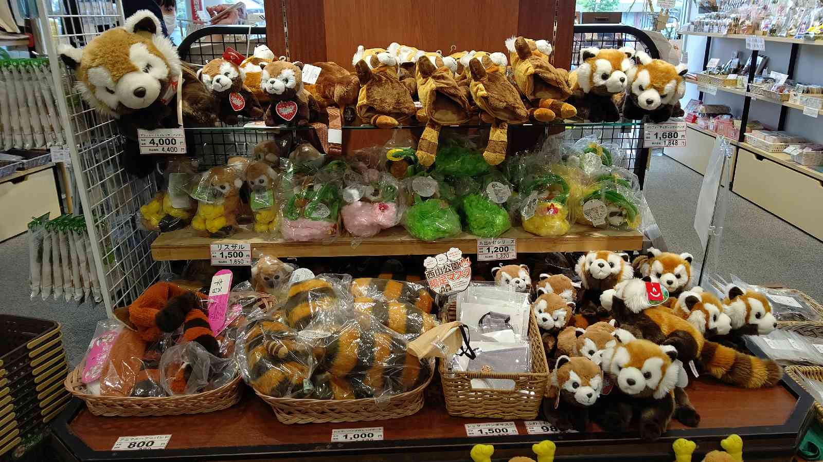 投稿された画像