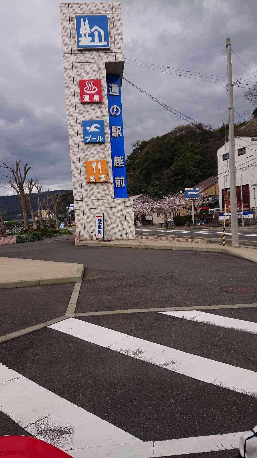 投稿された画像
