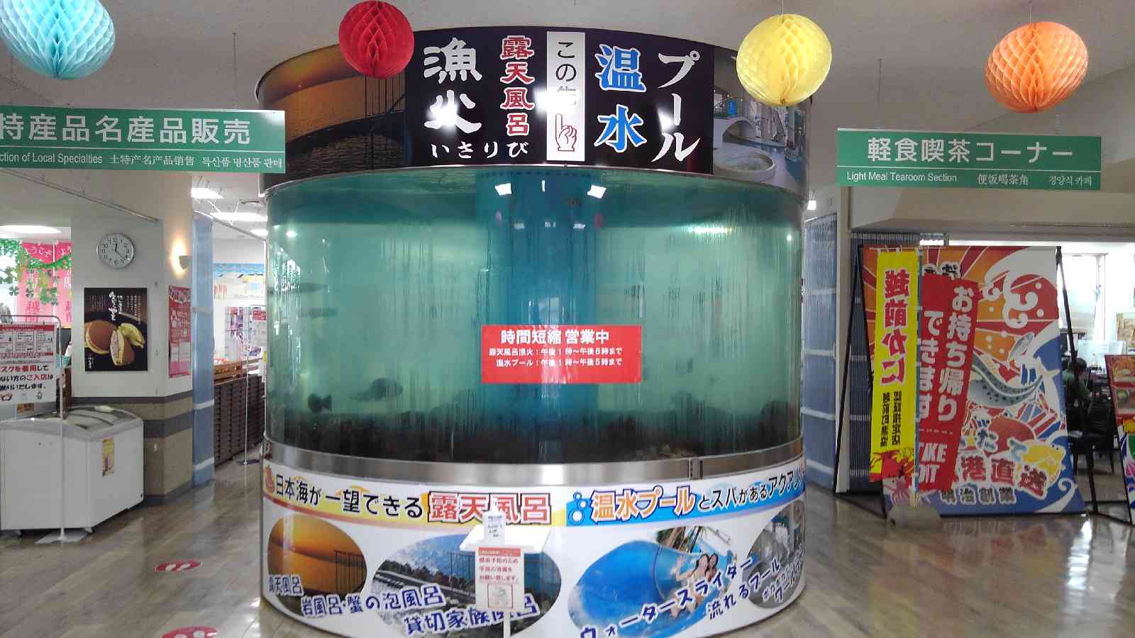 投稿された画像