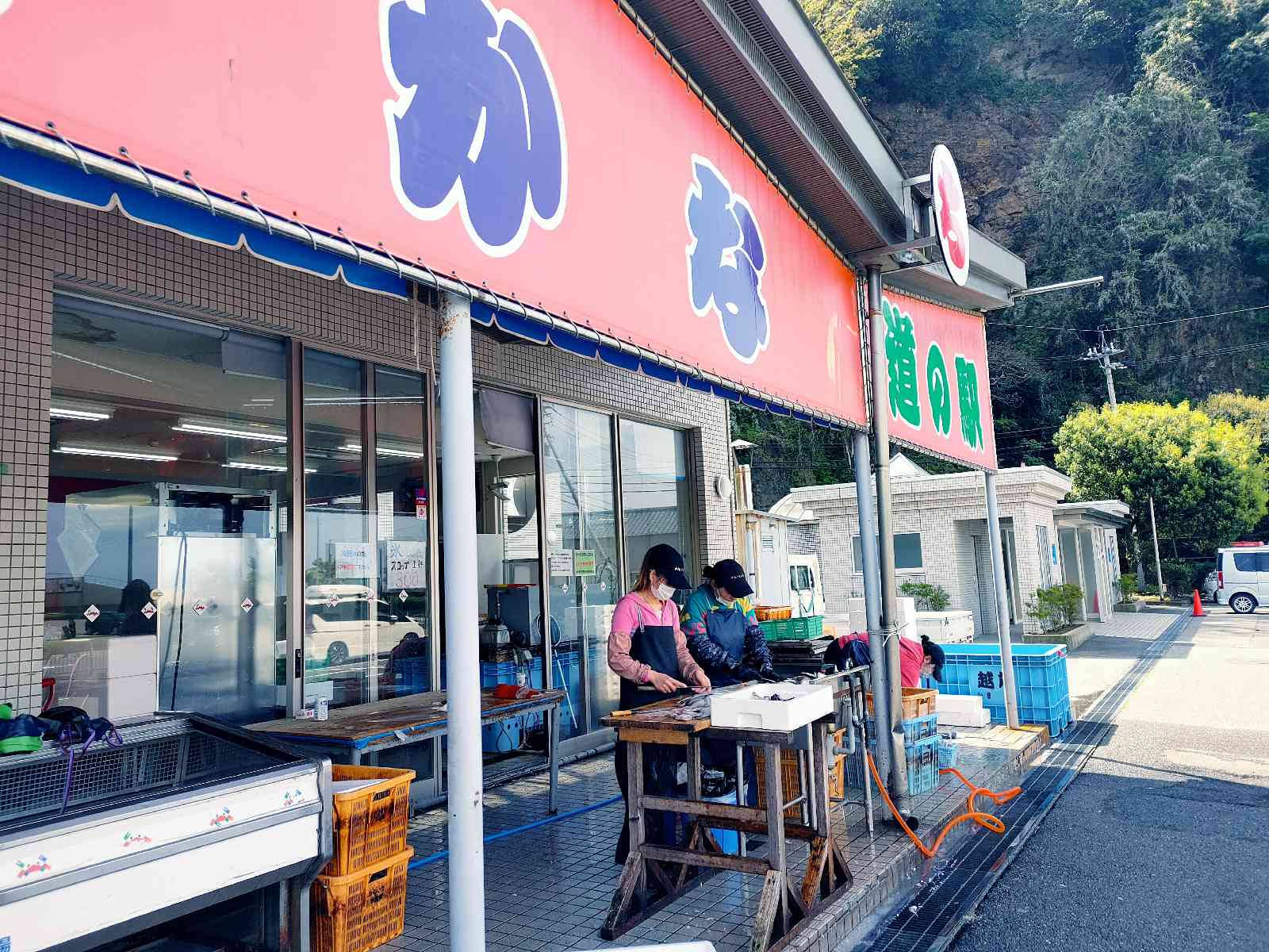 投稿された画像