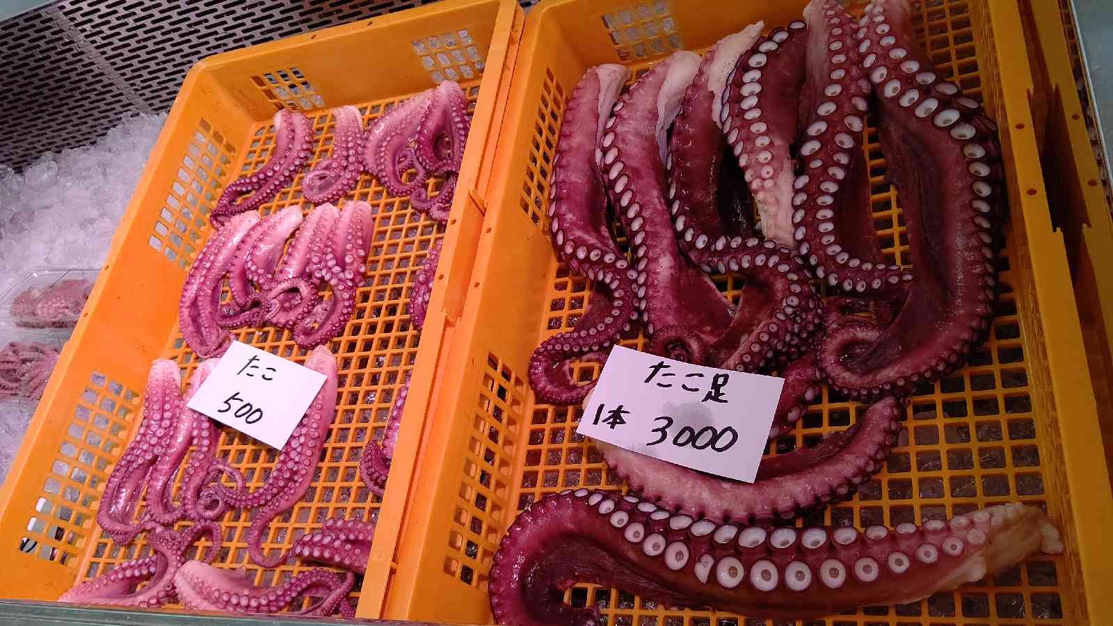投稿された画像