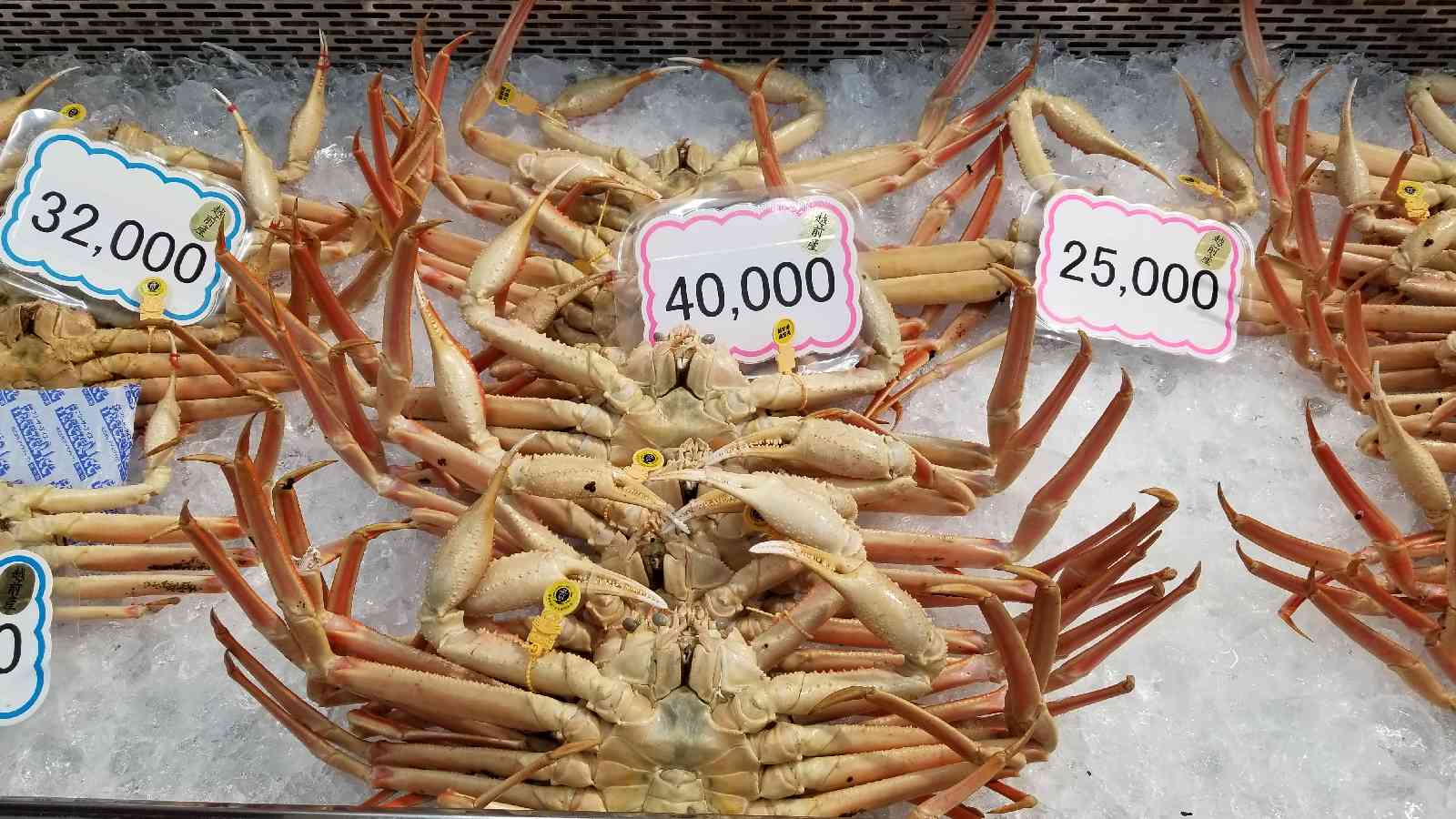 投稿された画像