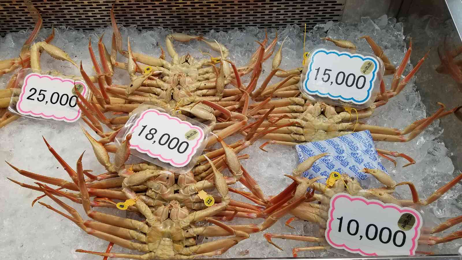 投稿された画像