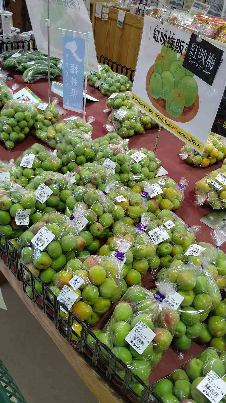 投稿された画像