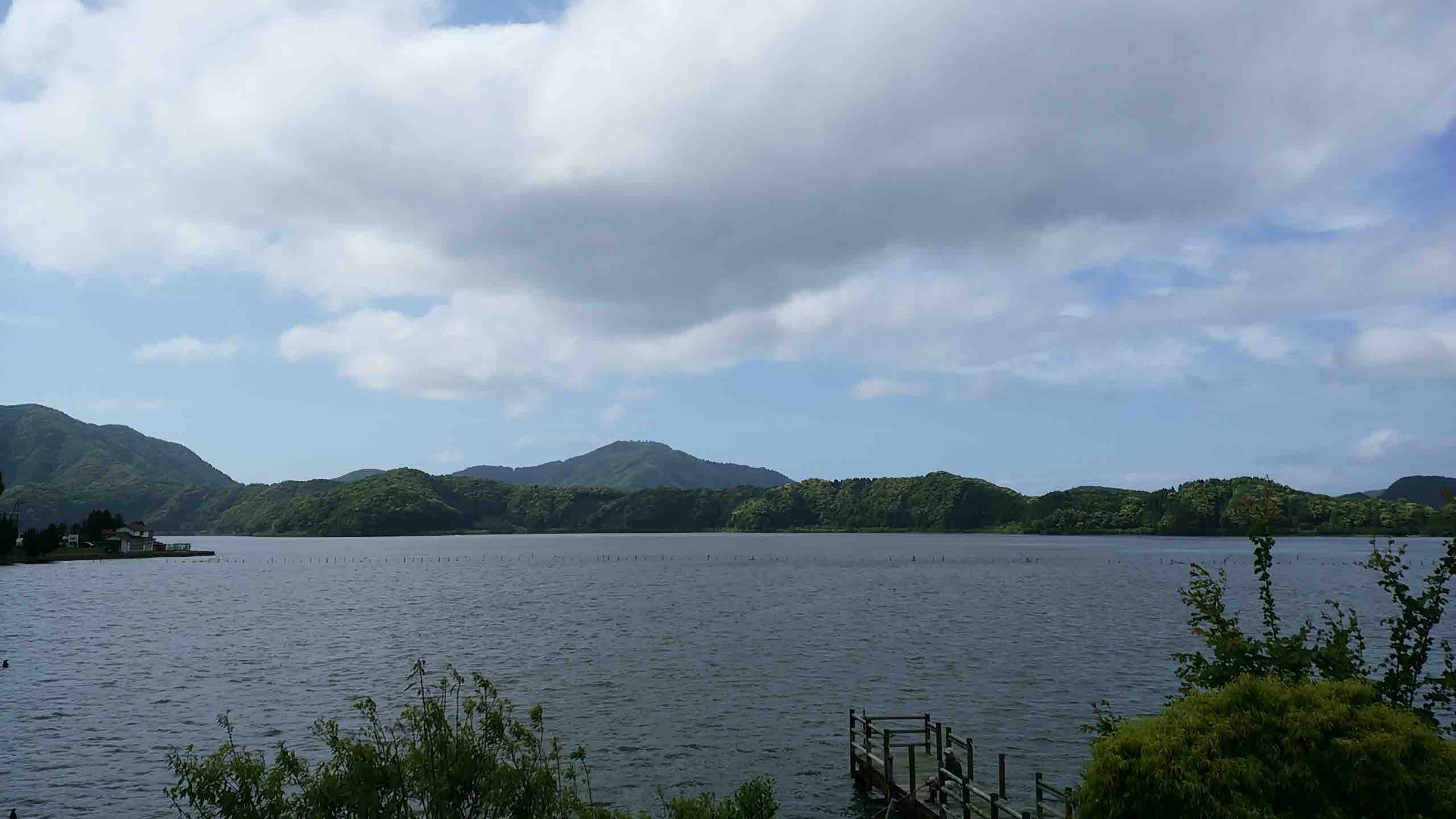 投稿された画像