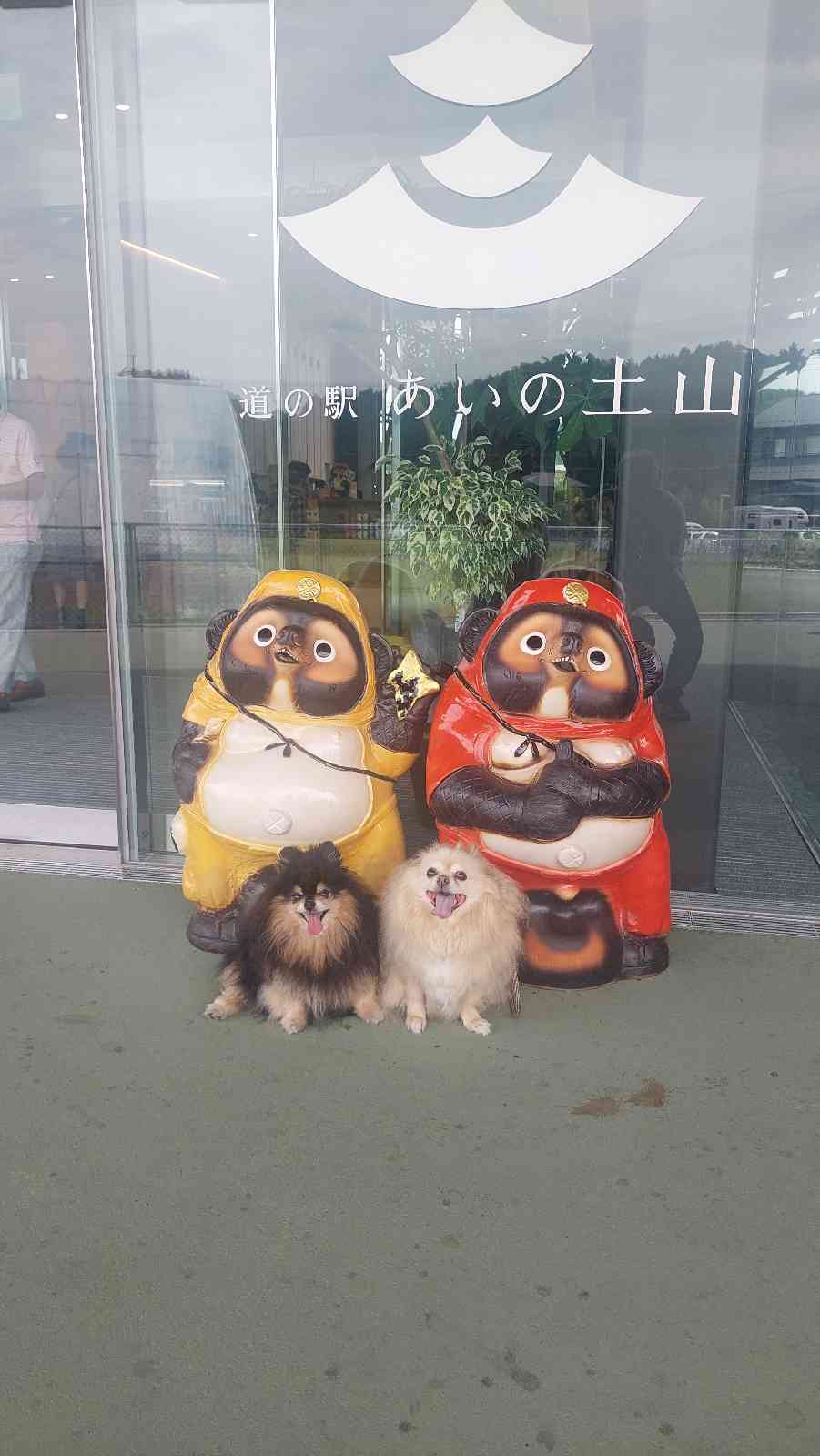 道の駅 あいの土山の写真