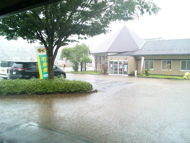 投稿された画像