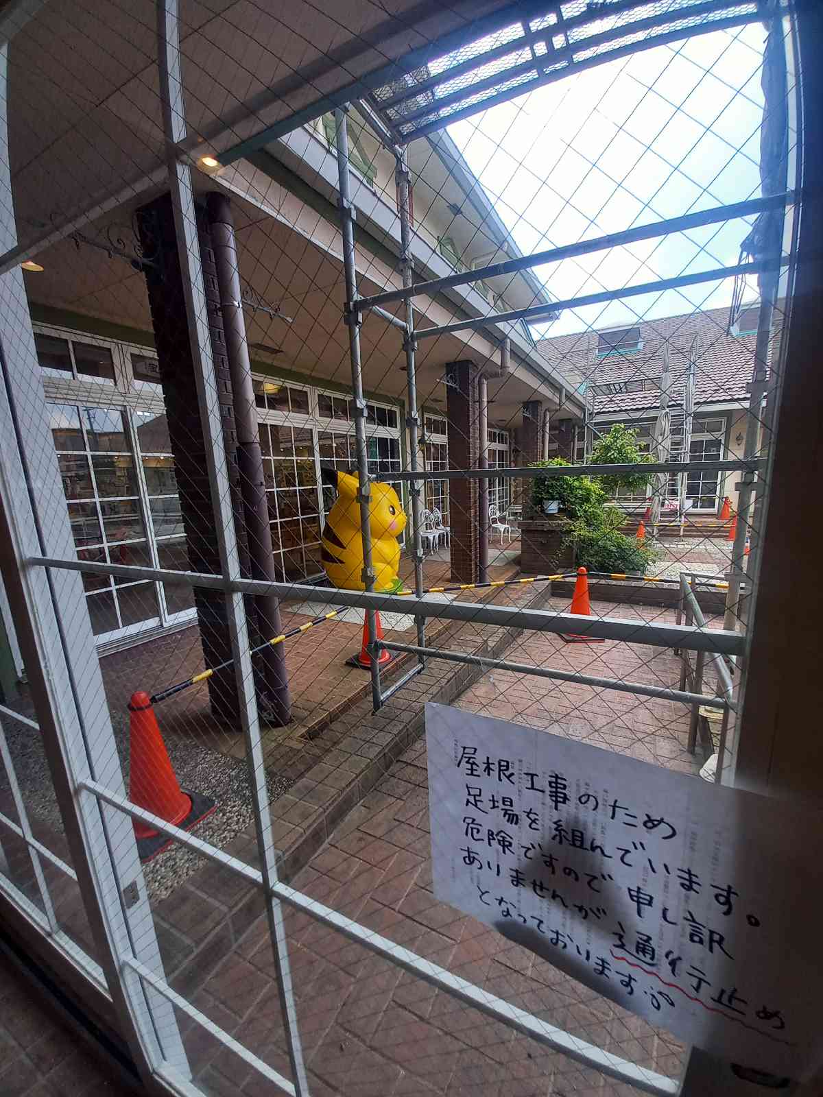 投稿された画像
