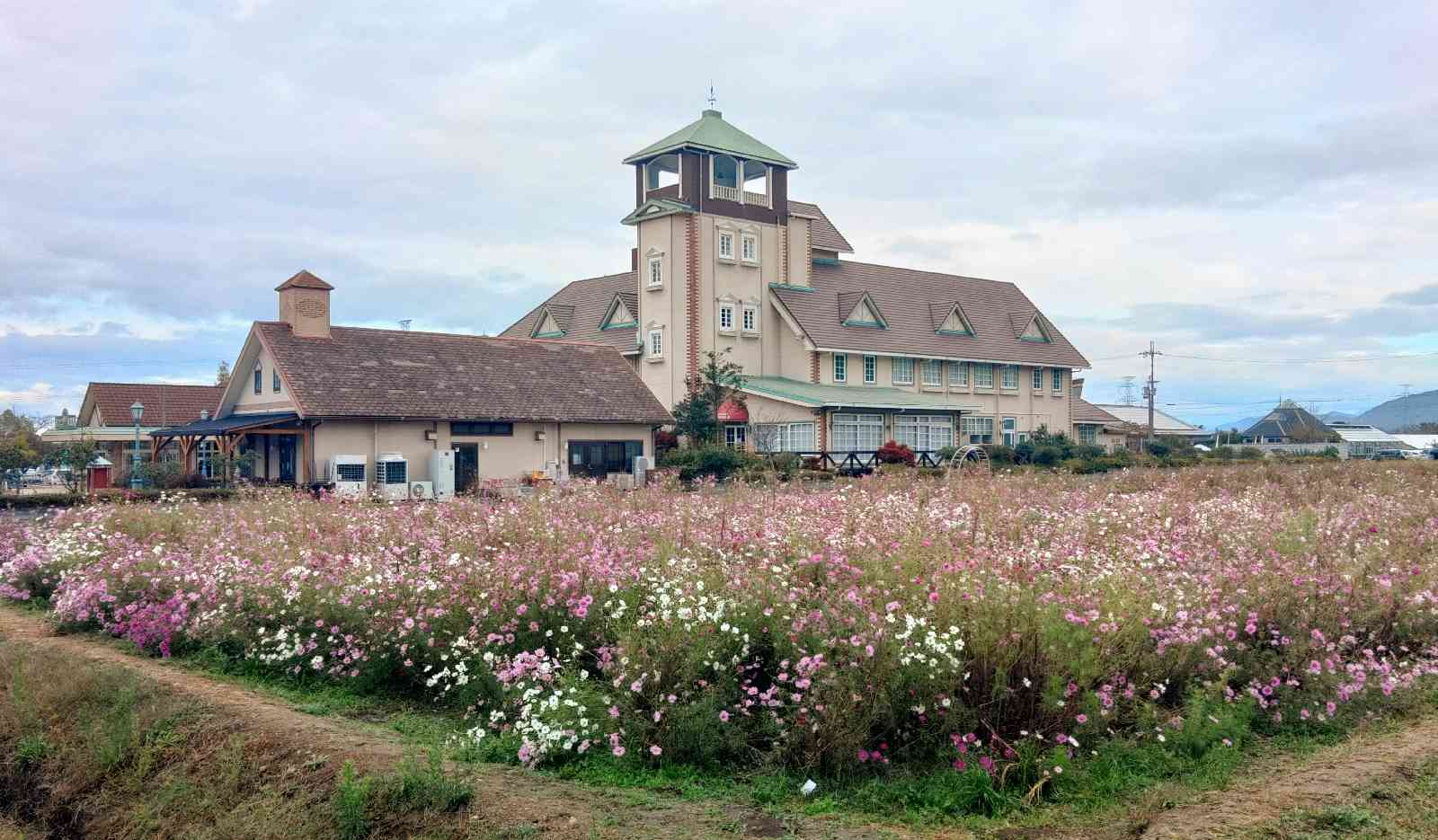 道の駅 東近江市あいとうマーガレットステーションの写真