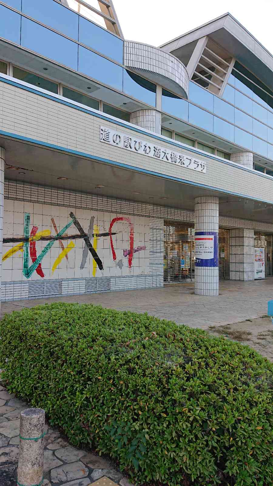 投稿された画像