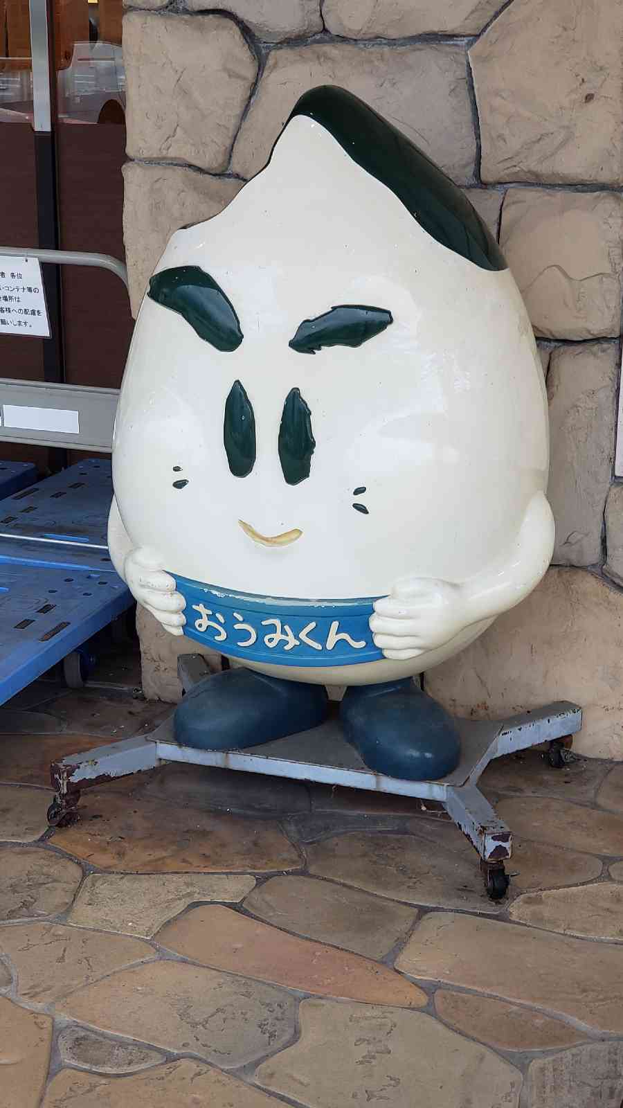 投稿された画像