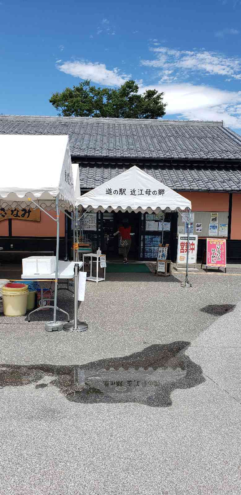 投稿された画像