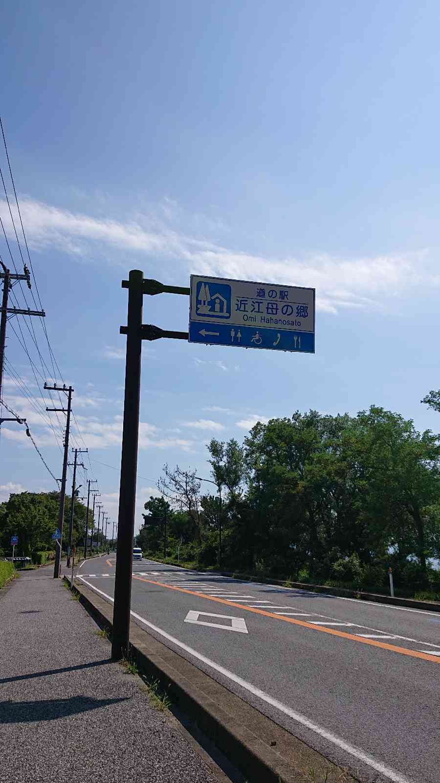 投稿された画像