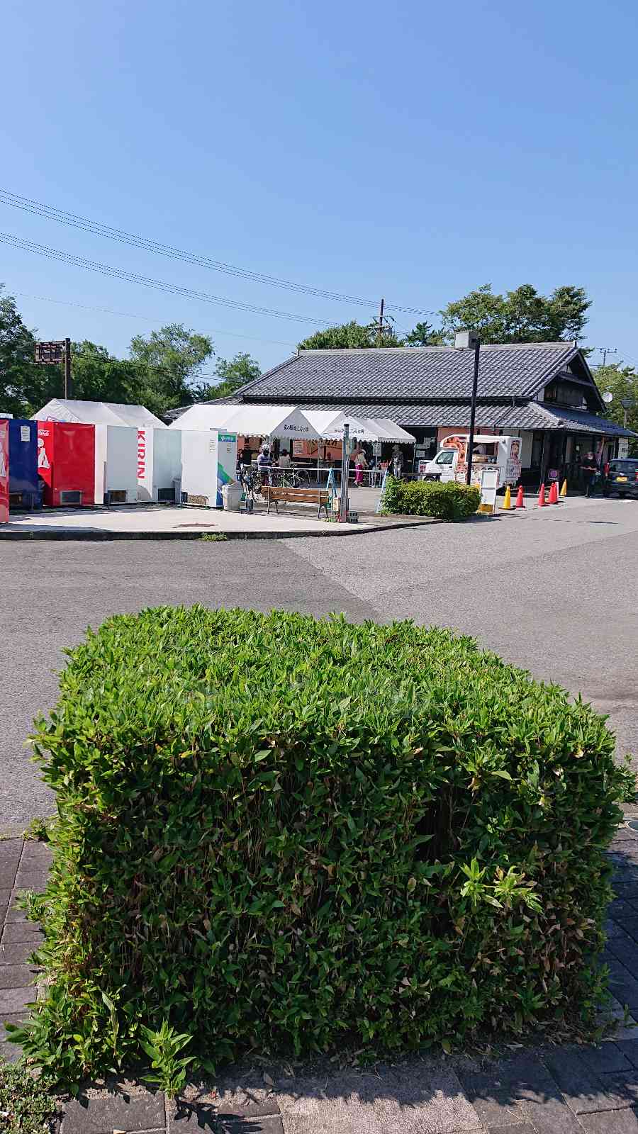 投稿された画像