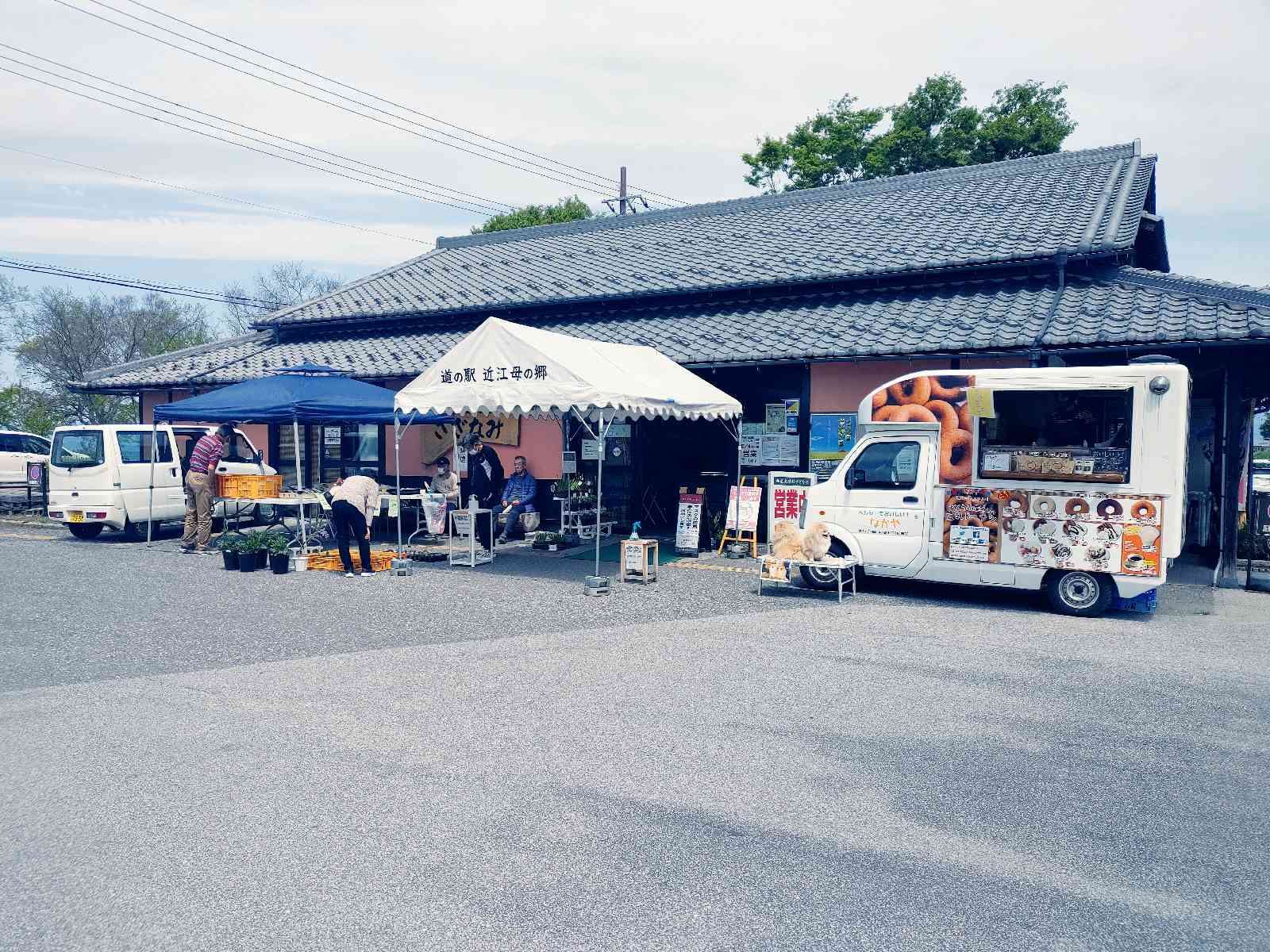 投稿された画像