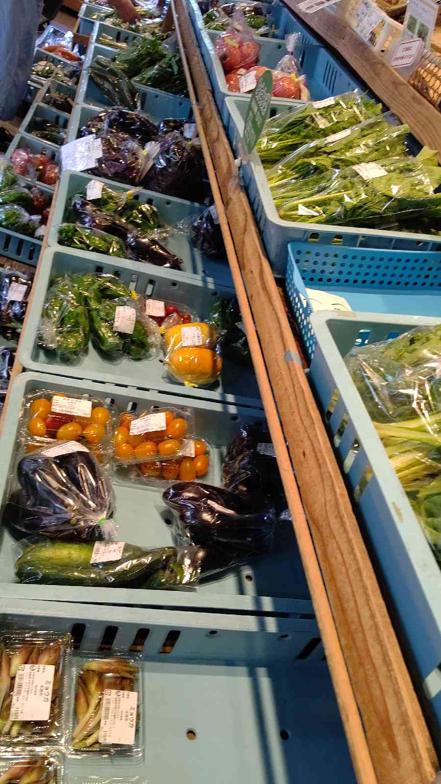 投稿された画像