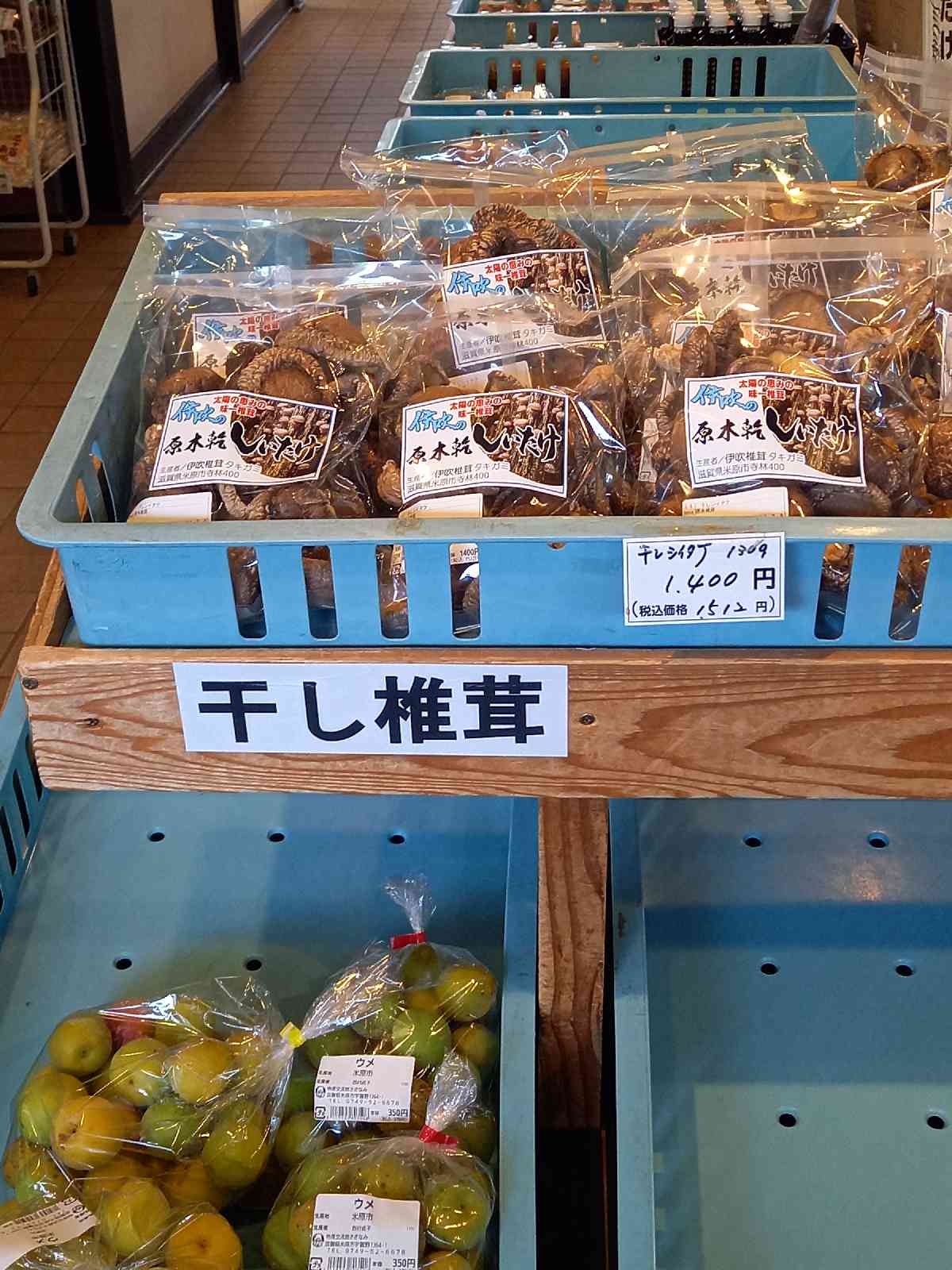 投稿された画像